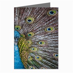Peacock-feathers2 Greeting Cards (pkg Of 8) by nateshop