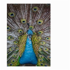 Peacock-feathers2 Small Garden Flag (two Sides) by nateshop