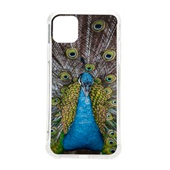 Peacock-feathers2 Iphone 11 Pro Max 6 5 Inch Tpu Uv Print Case by nateshop