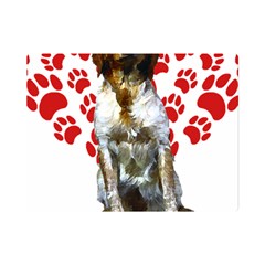 Brittany Spaniel Gift T- Shirt Cute Brittany Valentine Heart Paw Brittany Dog Lover Valentine Costum Yoga Reflexion Pose T- Shirtyoga Reflexion Pose T- Shirt Premium Plush Fleece Blanket (mini) by hizuto