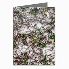 Climbing Plant At Outdoor Wall Greeting Cards (pkg Of 8)