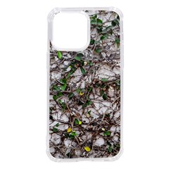 Climbing Plant At Outdoor Wall Iphone 14 Pro Max Tpu Uv Print Case by dflcprintsclothing