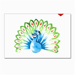 Peacock T-shirtsteal Your Heart Peacock 203 T-shirt Postcard 4 x 6  (pkg Of 10)