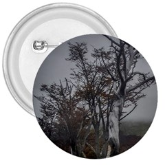 Nature s Resilience: Tierra Del Fuego Forest, Argentina 3  Buttons by dflcprintsclothing