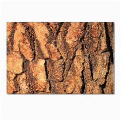Bark Texture Wood Large Rough Red Wood Outside California Postcard 4 x 6  (pkg Of 10) by Ket1n9