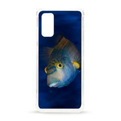Fish Blue Animal Water Nature Samsung Galaxy S20 6 2 Inch Tpu Uv Case by Amaryn4rt