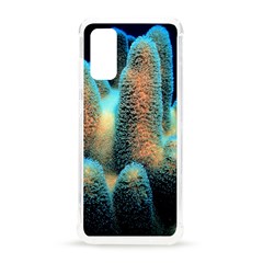 Photo Coral Great Scleractinia Samsung Galaxy S20 6 2 Inch Tpu Uv Case by Pakjumat