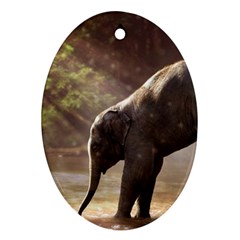 Baby Elephant Watering Hole Ornament (oval) by Sarkoni