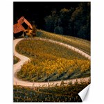 Vineyard Agriculture Farm Autumn Canvas 12  x 16 