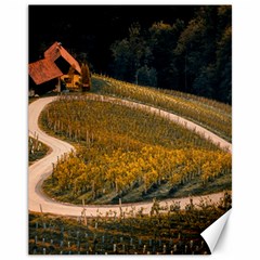 Vineyard Agriculture Farm Autumn Canvas 11  X 14  by Sarkoni