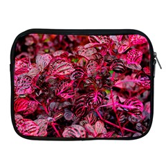 Red Leaves Plant Nature Leaves Apple Ipad 2/3/4 Zipper Cases