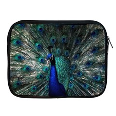 Blue And Green Peacock Apple Ipad 2/3/4 Zipper Cases by Sarkoni