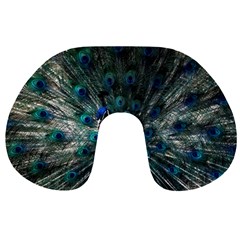 Blue And Green Peacock Travel Neck Pillow by Sarkoni