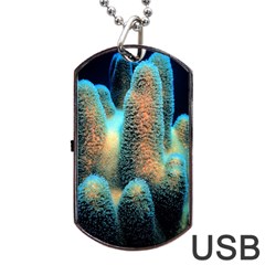 Photo Coral Great Scleractinia Dog Tag Usb Flash (two Sides) by Pakjumat