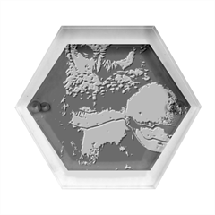 Owl Knight Hexagon Wood Jewelry Box by goljakoff