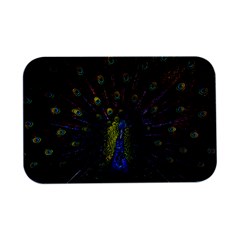 Beautiful Peacock Feather Open Lid Metal Box (silver)   by Ket1n9