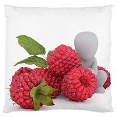 Fruit Healthy Vitamin Vegan Large Cushion Case (two Sides) by Ket1n9