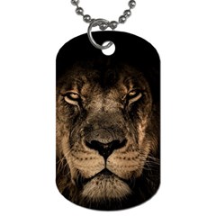 African Lion Mane Close Eyes Dog Tag (two Sides) by Ket1n9