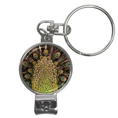 Peacock Feathers Wheel Plumage Nail Clippers Key Chain by Ket1n9