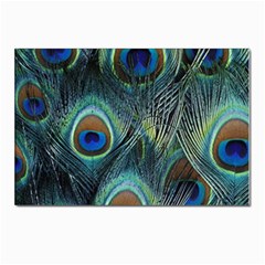 Feathers Art Peacock Sheets Patterns Postcard 4 x 6  (pkg Of 10) by Ket1n9