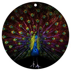 Beautiful Peacock Feather Uv Print Acrylic Ornament Round by Ket1n9