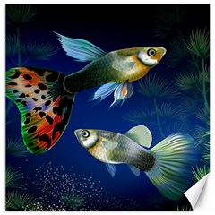 Marine Fishes Canvas 12  X 12  by Ket1n9