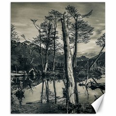 Dry Forest Landscape, Tierra Del Fuego, Argentina Canvas 20  X 24  by dflcprintsclothing