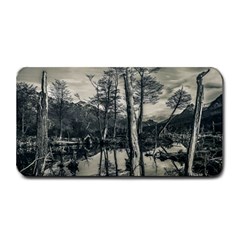 Dry Forest Landscape, Tierra Del Fuego, Argentina Medium Bar Mat by dflcprintsclothing
