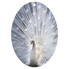 White Peacock Bird Uv Print Acrylic Ornament Oval