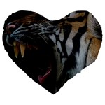 Angry Tiger Roar Large 19  Premium Flano Heart Shape Cushions Front