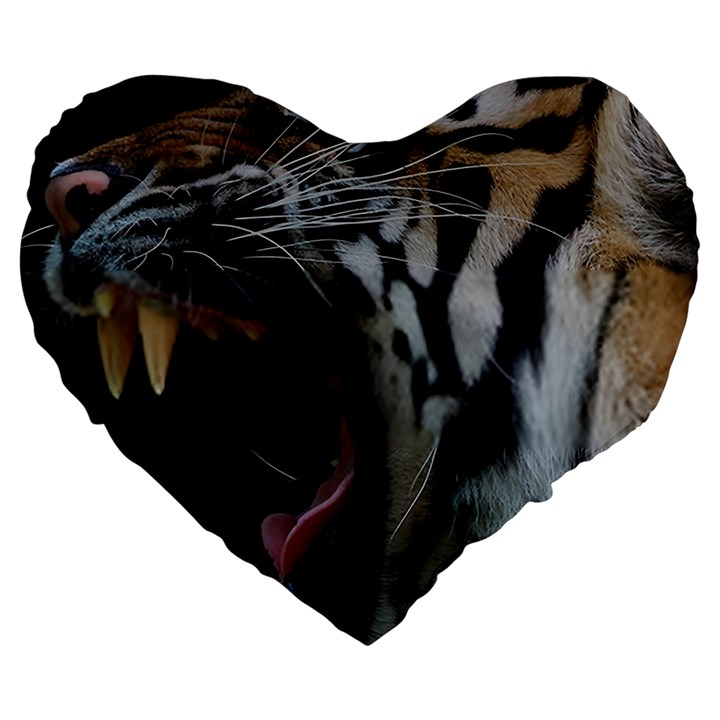 Angry Tiger Roar Large 19  Premium Flano Heart Shape Cushions