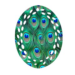 Feather, Bird, Pattern, Peacock, Texture Oval Filigree Ornament (two Sides) by nateshop