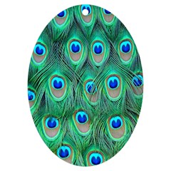 Feather, Bird, Pattern, Peacock, Texture Uv Print Acrylic Ornament Oval by nateshop