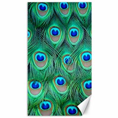 Peacock Feathers, Bonito, Bird, Blue, Colorful, Feathers Canvas 40  X 72  by nateshop