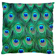 Peacock Feathers, Bonito, Bird, Blue, Colorful, Feathers Large Cushion Case (one Side) by nateshop