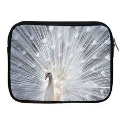 White Feathers, Animal, Bird, Feather, Peacock Apple Ipad 2/3/4 Zipper Cases by nateshop