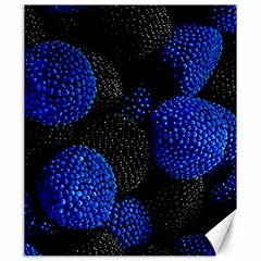 Berry, One,berry Blue Black Canvas 20  X 24  by nateshop