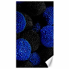 Berry, One,berry Blue Black Canvas 40  X 72  by nateshop