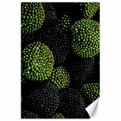 Berry,note, Green, Raspberries Canvas 20  X 30  by nateshop