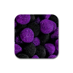 Berry,raspberry, Plus, One Rubber Square Coaster (4 Pack) by nateshop