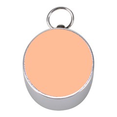 Peach Fuzz 2024 Mini Silver Compasses by dressshop