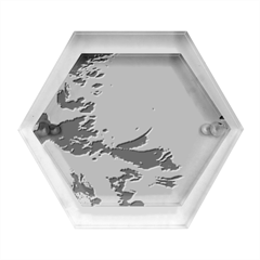 Dolphin Swimming Sea Ocean Hexagon Wood Jewelry Box by Cemarart