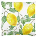 Fruit-2310212 16  Baby Flannel Cushion Case (Two Sides) Back