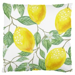 Fruit-2310212 16  Baby Flannel Cushion Case (two Sides) by lipli