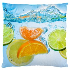 Fruits, Fruit, Lemon, Lime, Mandarin, Water, Orange 16  Baby Flannel Cushion Case (two Sides) by nateshop