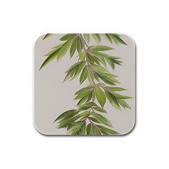 Watercolor Leaves Branch Nature Plant Growing Still Life Botanical Study Rubber Square Coaster (4 Pack) by Posterlux