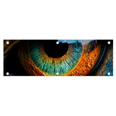 Eye Bird Feathers Vibrant Banner And Sign 6  X 2 